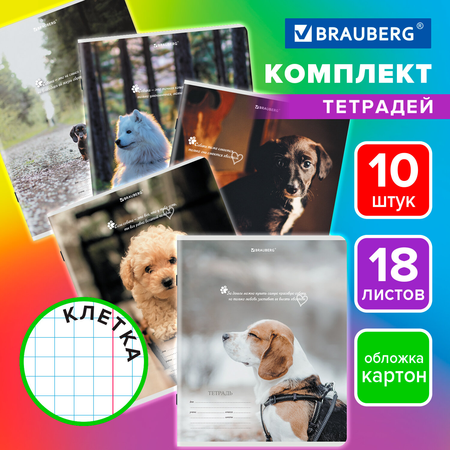 Тетрадь Brauberg клетка 18 лист. 10 шт. - фото 1