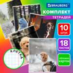 Тетрадь Brauberg клетка 18 лист. 10 шт.