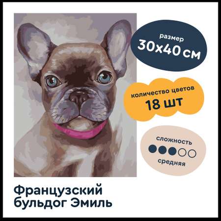 Картина по номерам Junion