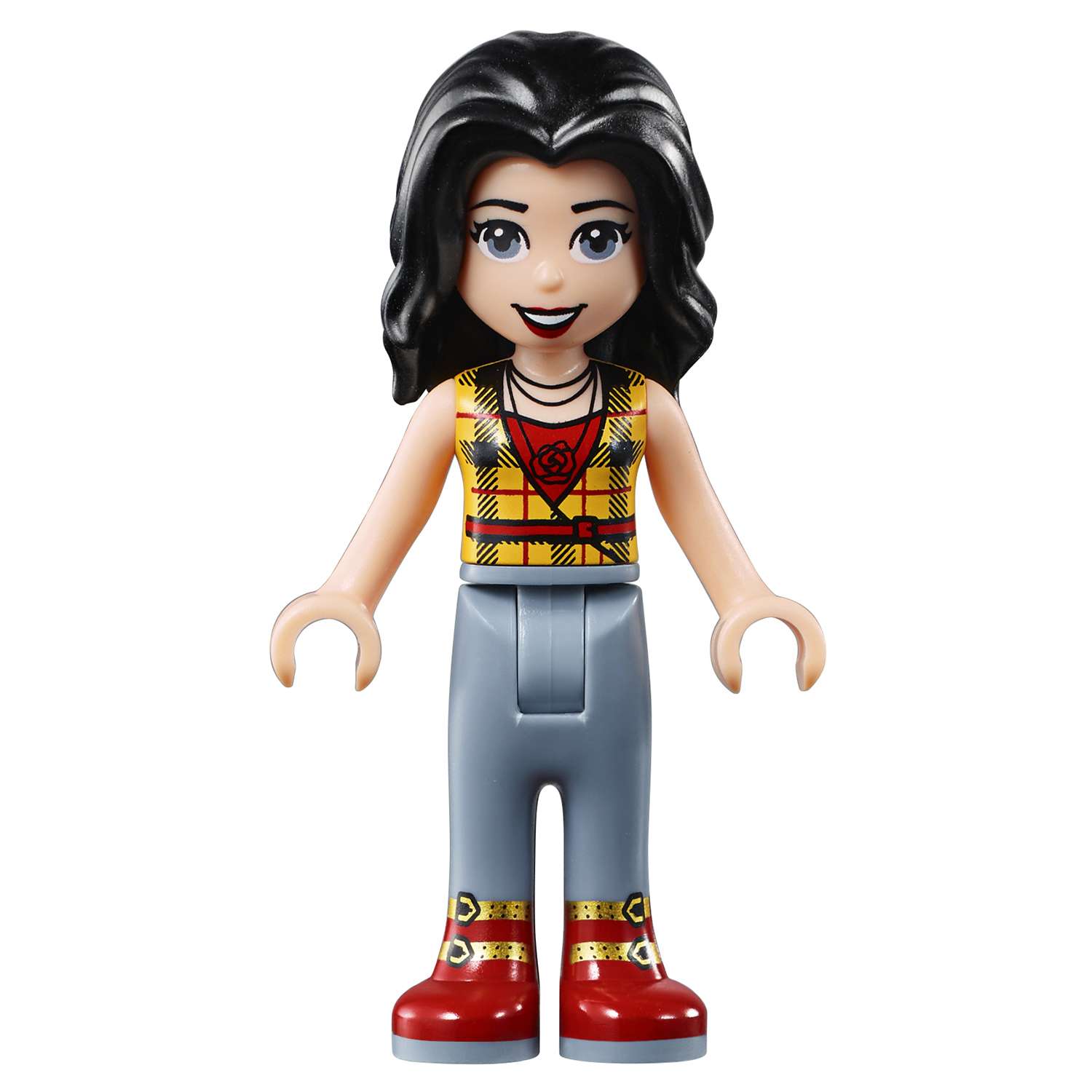 Конструктор LEGO Friends Большая шкатулка дружбы блочный - фото 31