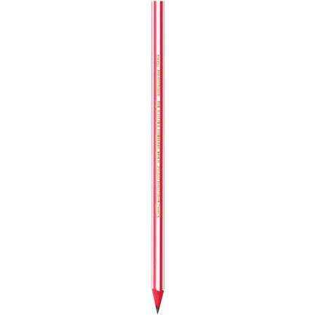Карандаши чернографитные BIC