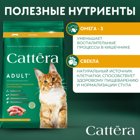 Корм сухой для кошек Cattera полнорационный с курицей 0,7 кг