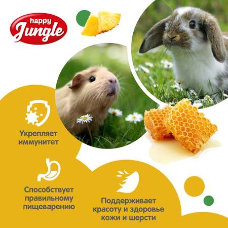 Лакомство для грызунов HappyJungle крупных палочки мед-фрукты 30г*3шт