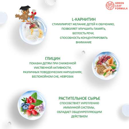 Детский сироп для памяти Green Leaf Formula Глицин с L-карнитином 100 мл