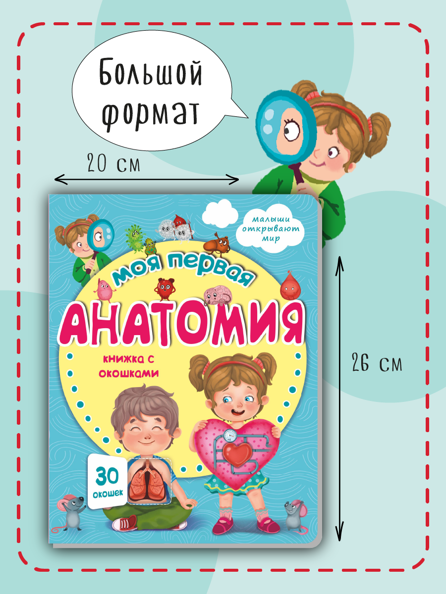 Книжка для малышей BimBiMon с окошками. Моя первая анатомия Виммельбух - фото 6