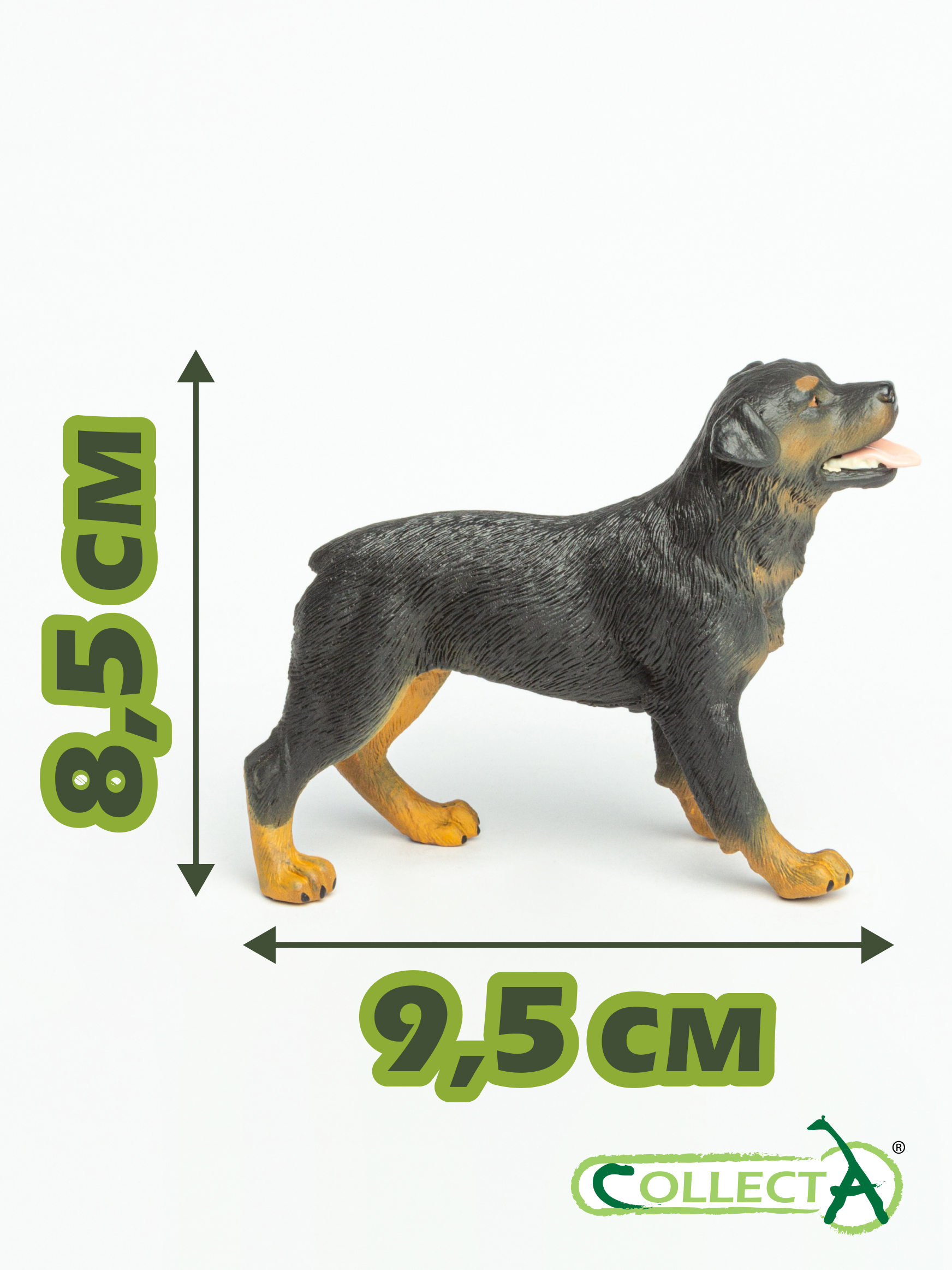 Фигурка Collecta Ротвейлер - фото 2