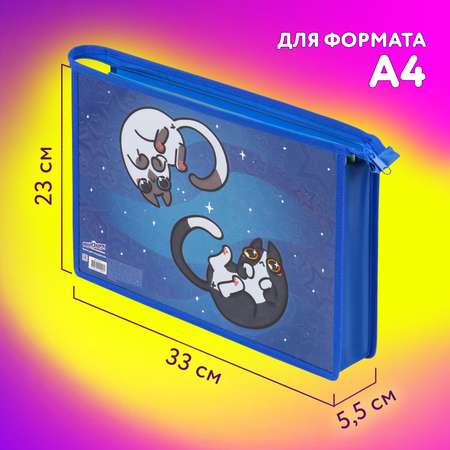 Папка для тетрадей Юнландия А4