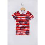 Поло U.S. Polo Assn