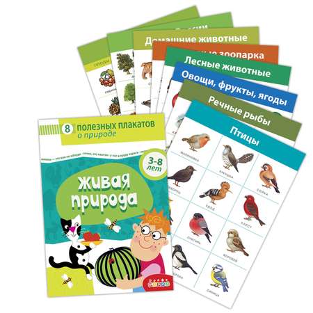 Настольная игра Дрофа-Медиа