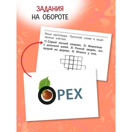 Карточки Hatber Словарные слова Выпуск 2