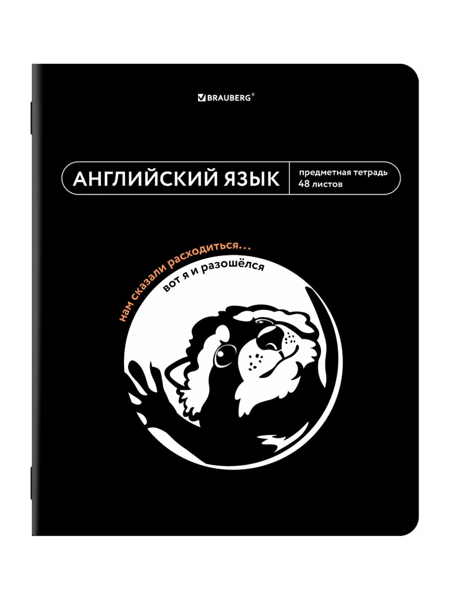 Тетрадь Brauberg 48 лист. 12 шт. - фото 11