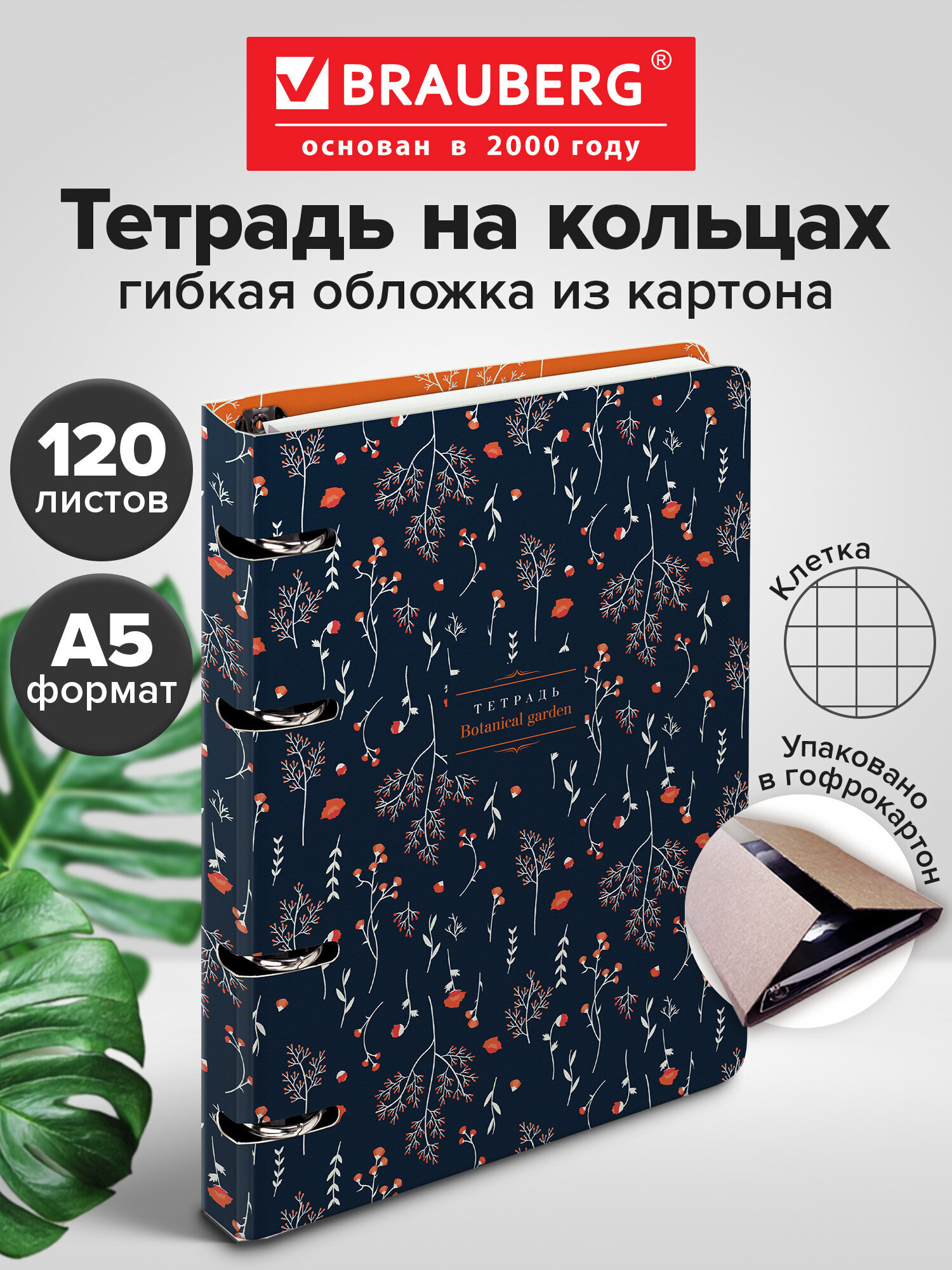 Тетрадь Brauberg клетка 120 лист. - фото 1