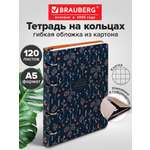 Тетрадь Brauberg клетка 120 лист.