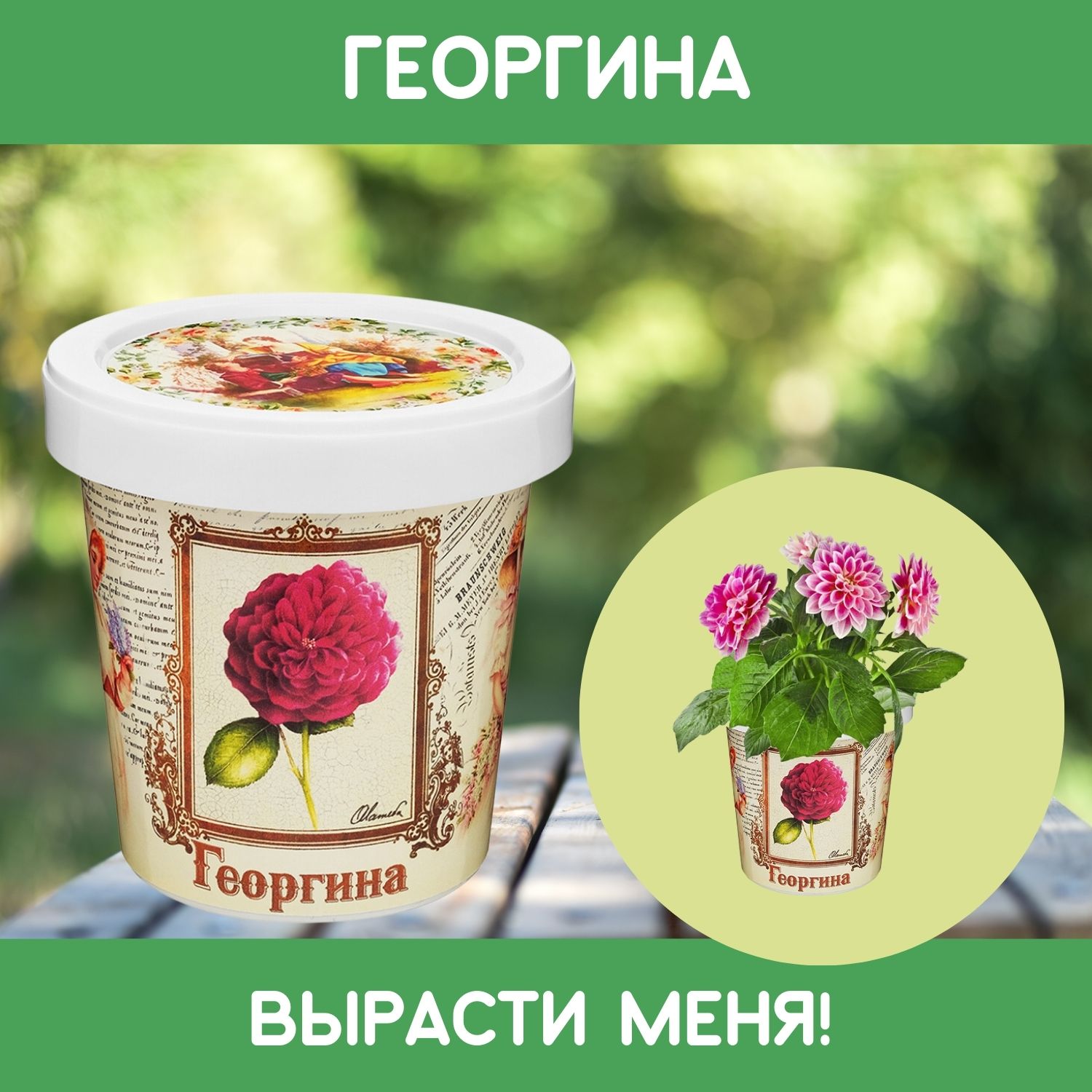 Набор для выращивания Rostok Visa - фото 1