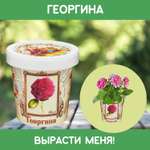 Набор для выращивания Rostok Visa