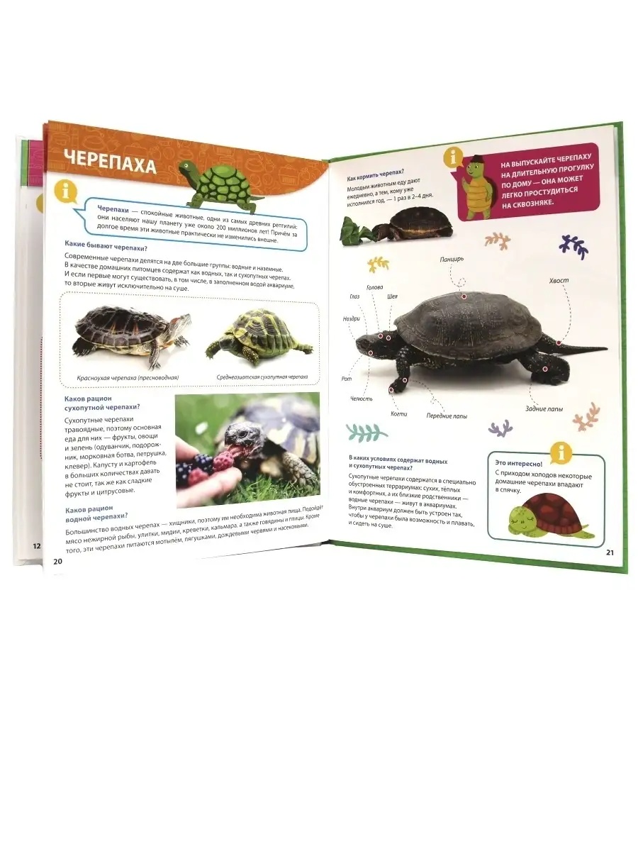 Книга Проф-Пресс Первая детская энциклопедия Всё о домашних питомцах малышам - фото 3