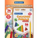 Карандаши цветные Brauberg 36 шт.