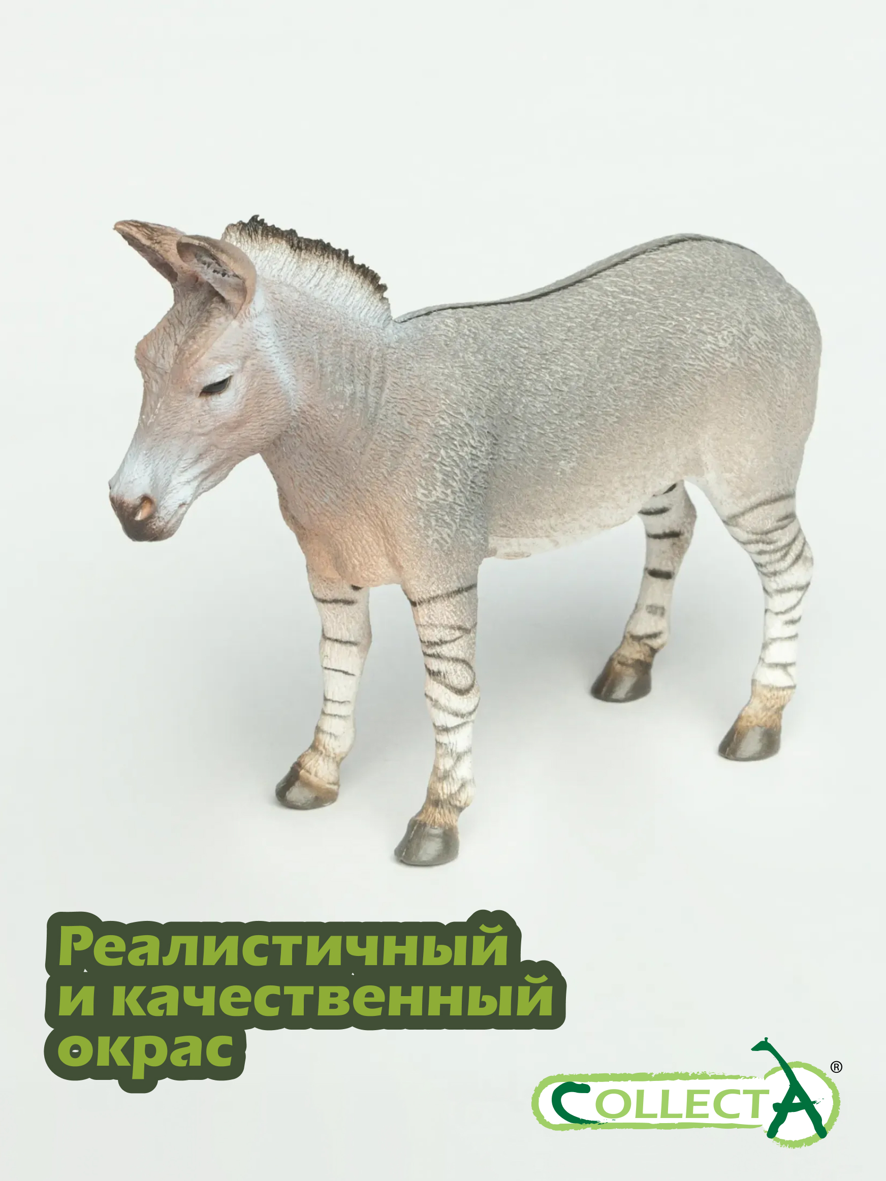 Фигурка Collecta Дикий африканский осел - фото 4