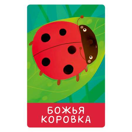 Книга Clever Мир вокруг меня Мой мир 100 слов