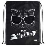 Мешок для обуви Феникс +