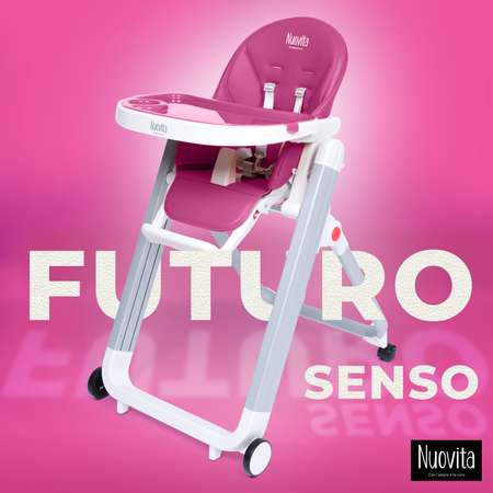 Стульчик для кормления Nuovita Futuro Senso