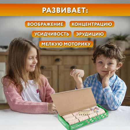 Набор для раскопок Brauberg