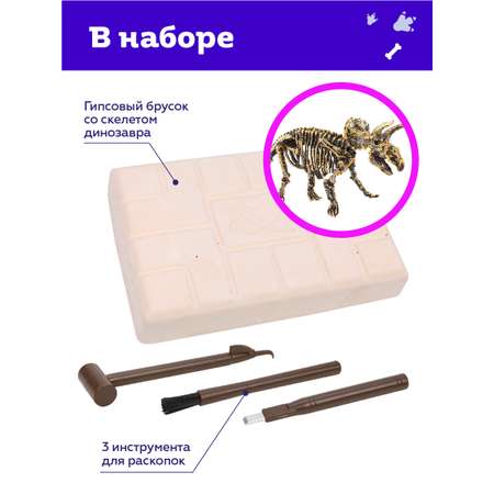 Набор для раскопок ON TIME