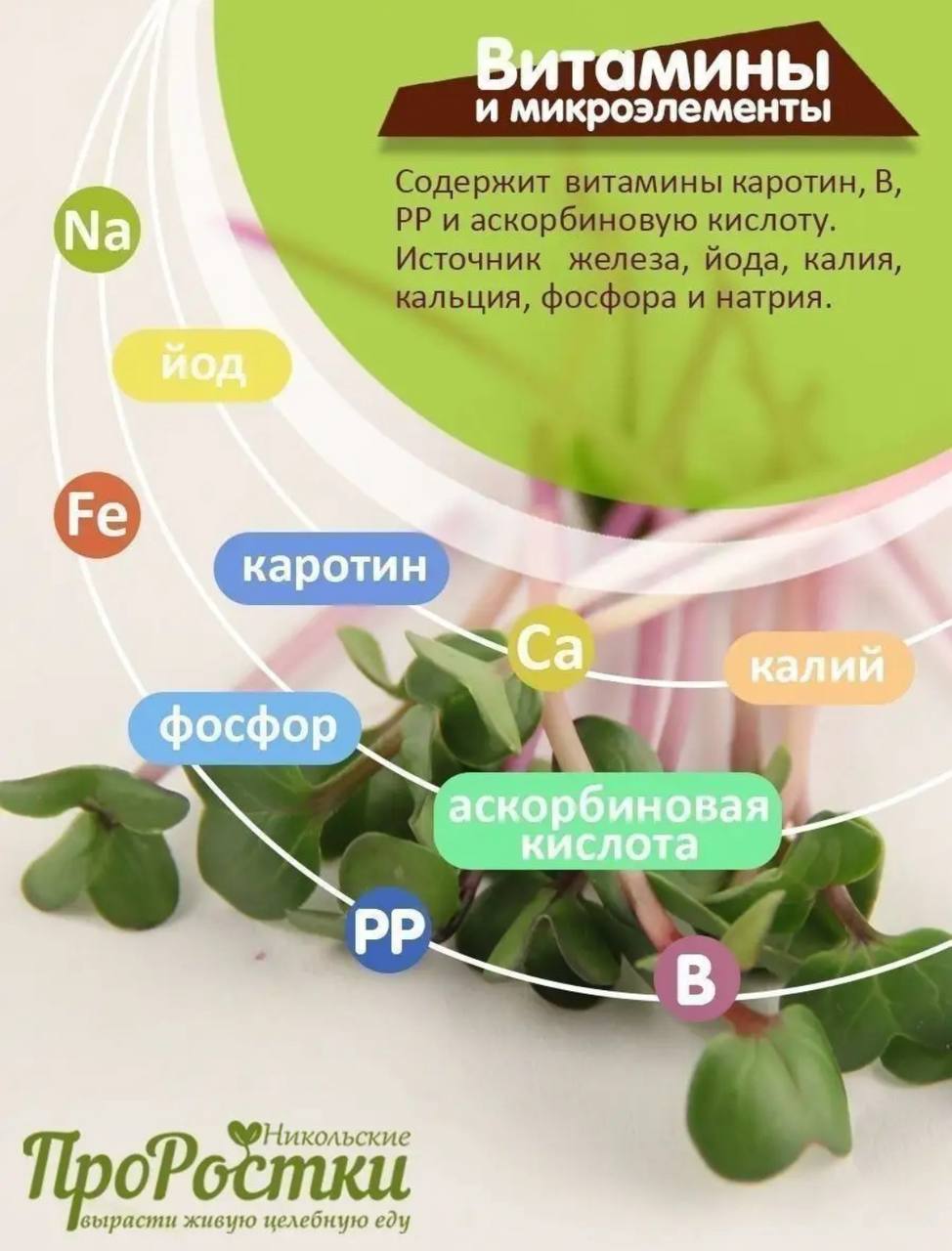 Семена для микрозелени MegaMedia редис - фото 5