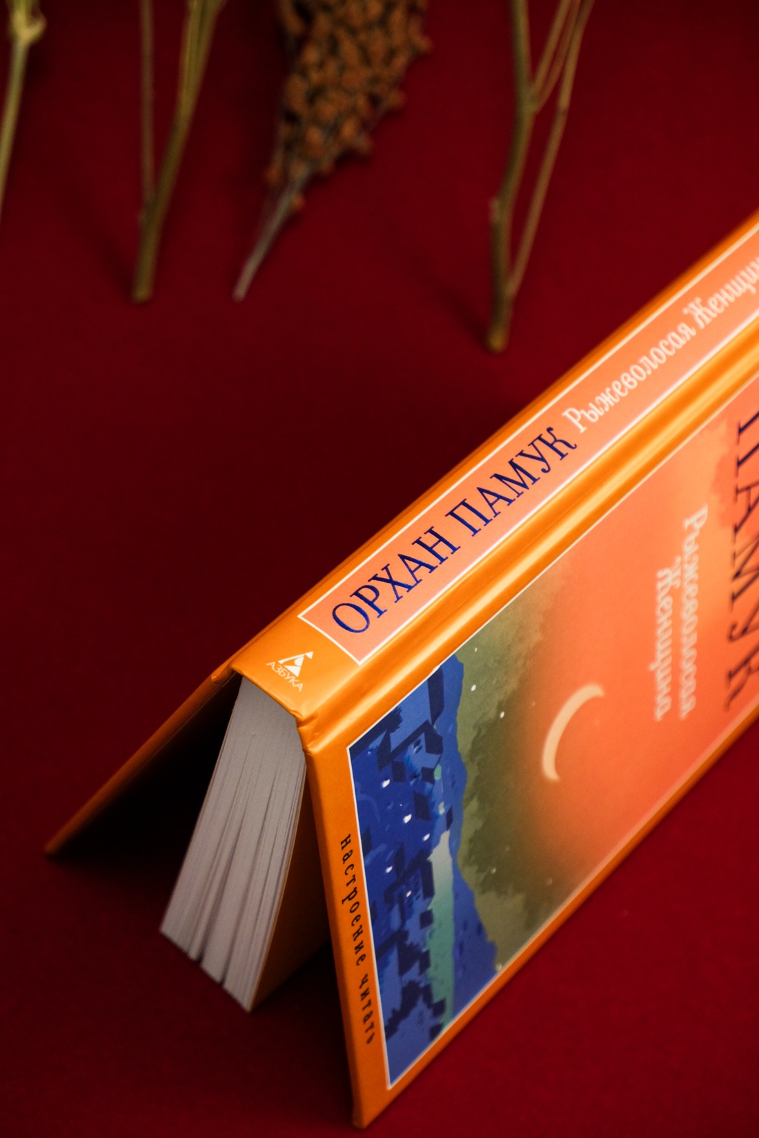 Книга АЗБУКА НастрЧит./Памук О./Рыжеволосая Женщина - фото 13