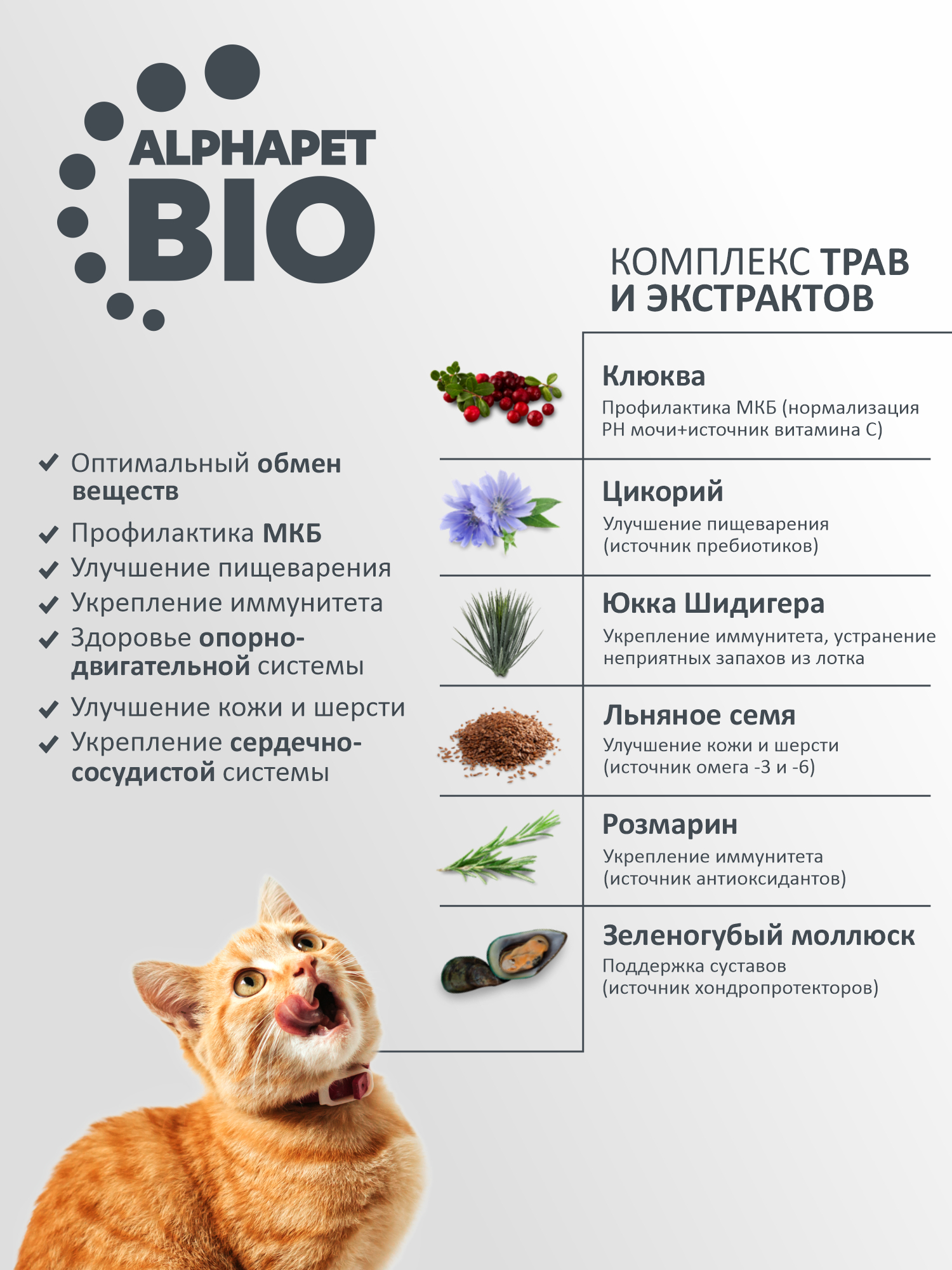 Сухой полнорационный корм AlphaPet с цыпленком для котят, беременных и кормящих кошек AlphaPet Superpremium 7 кг - фото 6