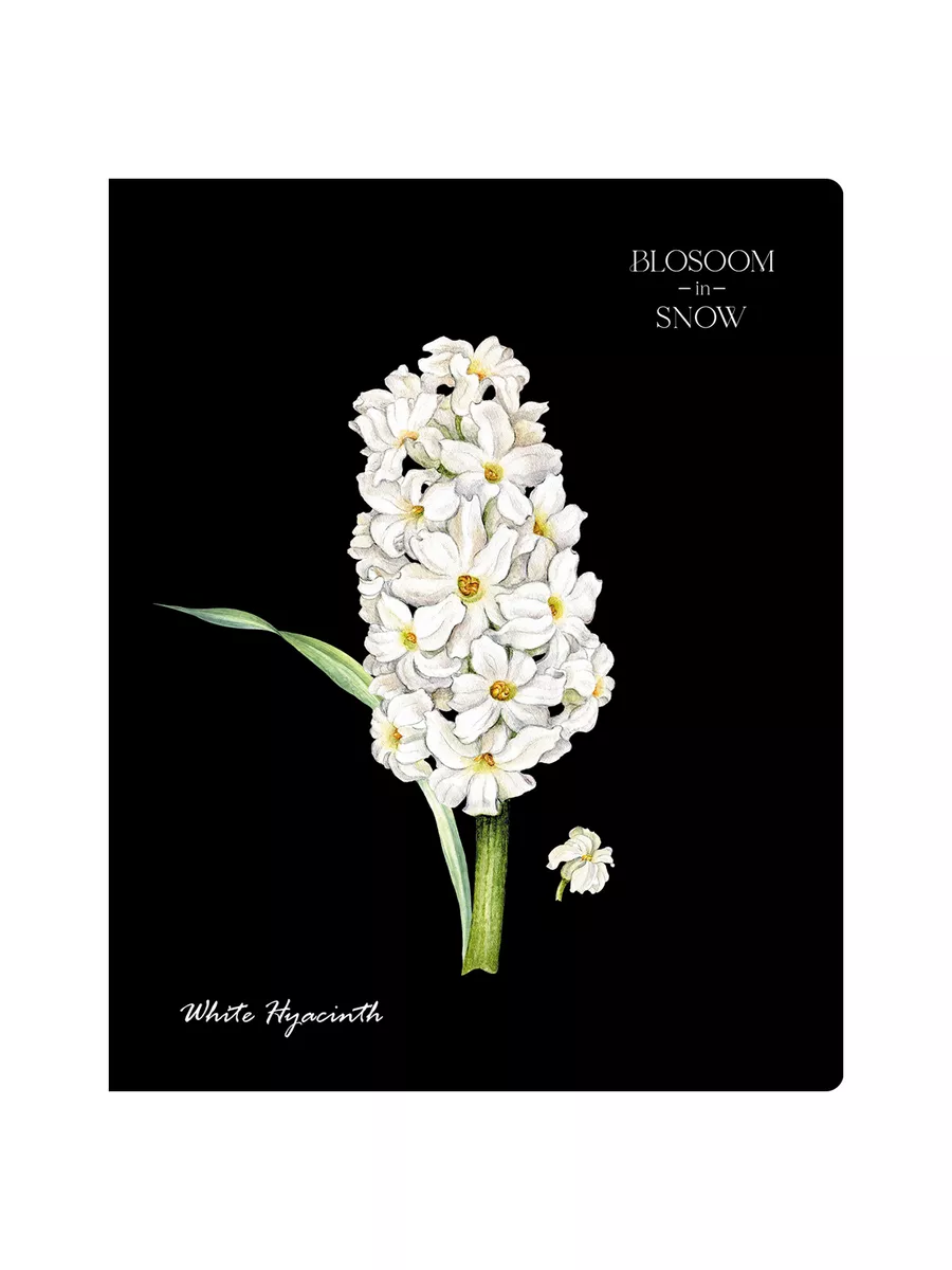 Тетрадь BG клетка 48 лист. 4 шт. - фото 6