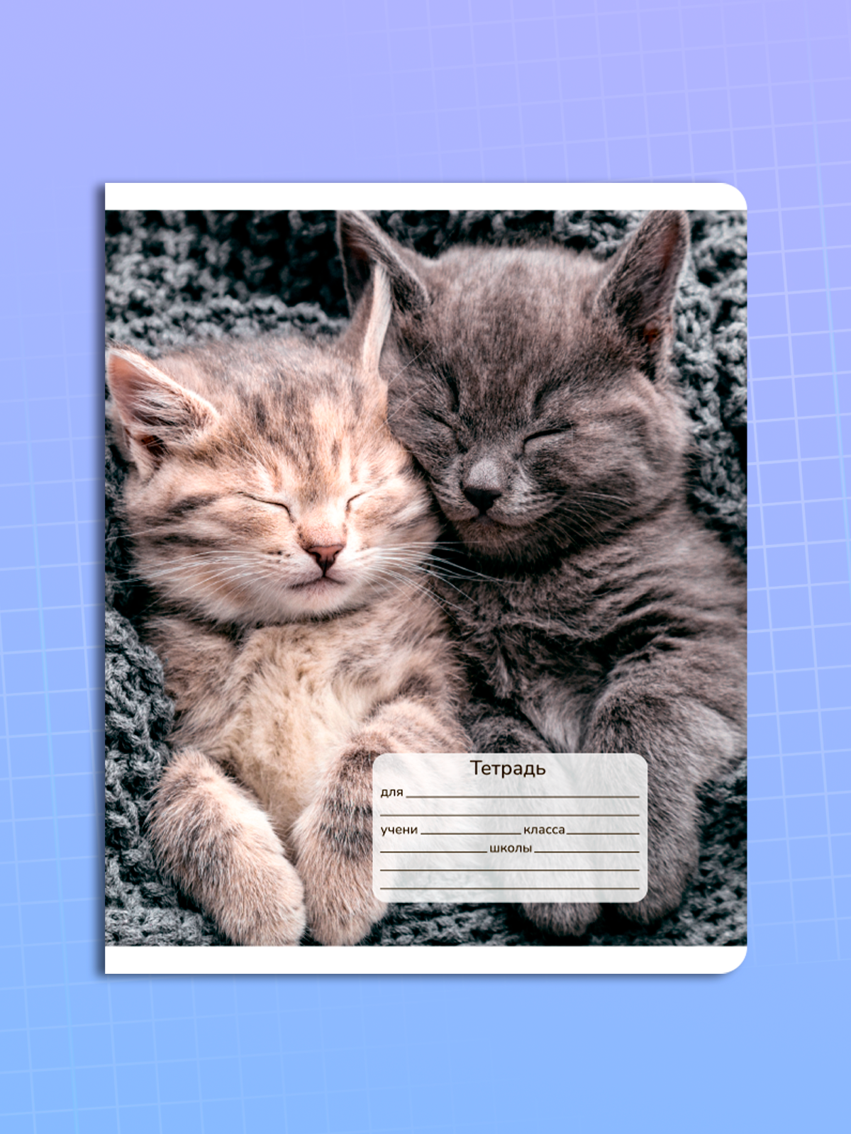 Тетрадь AXLER клетка 18 лист. 10 шт. - фото 8