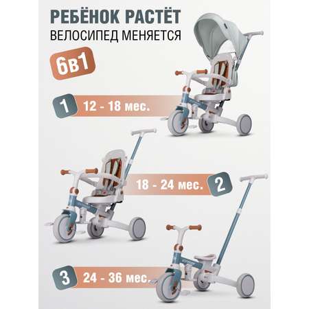 Трехколесный велосипед CITYRIDE