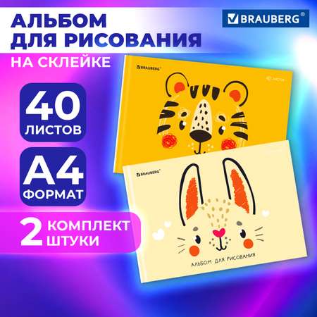 Альбом Brauberg А4 40 лист. 2 шт.