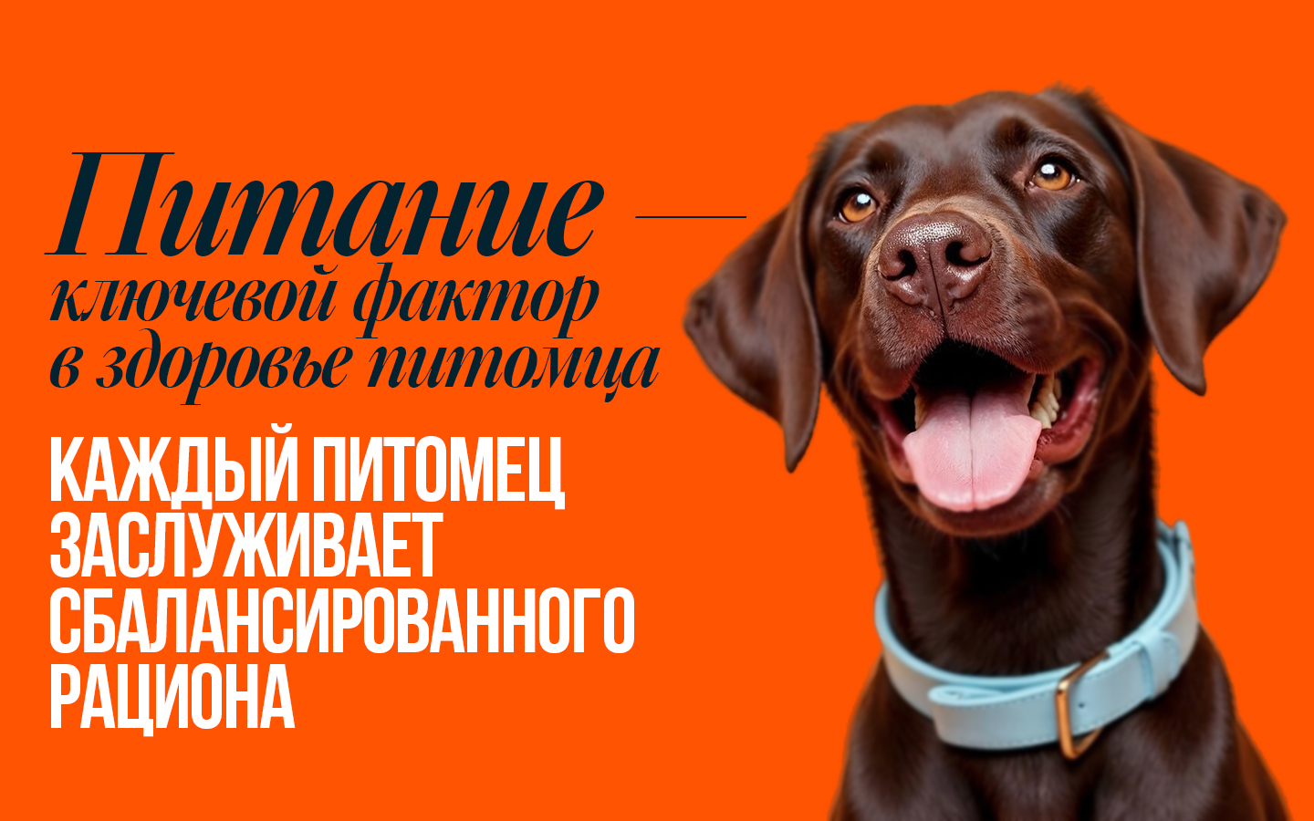 Корм сухой Profifeed для щенков 10кг - фото 9