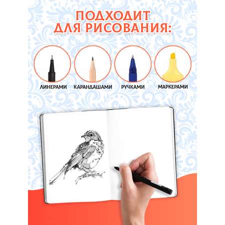 Скетчбук Проф-Пресс блокнот на резинке. Кот ля рус А5 80 лист. 1 шт.