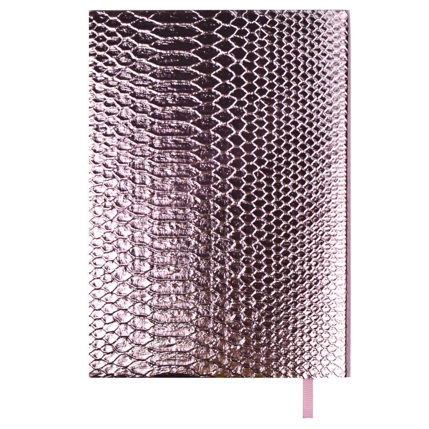 Ежедневник Феникс + ESCALADA 160 лист. - фото 5