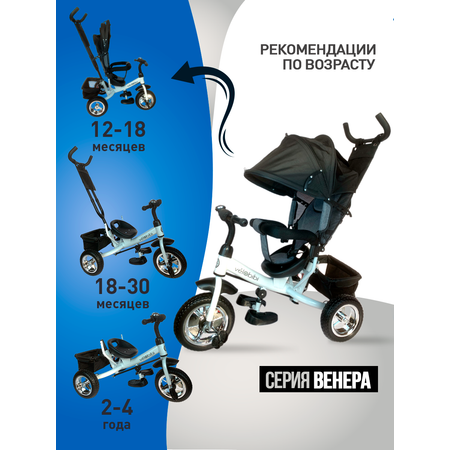 Трехколесный велосипед Velobibi 10 дюймов