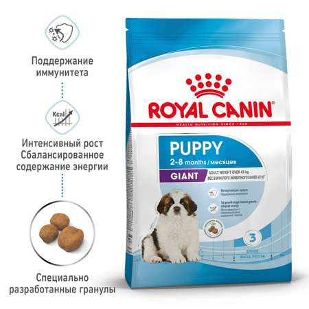 Корм для щенков ROYAL CANIN гигантских пород 2-8месяцев 15кг