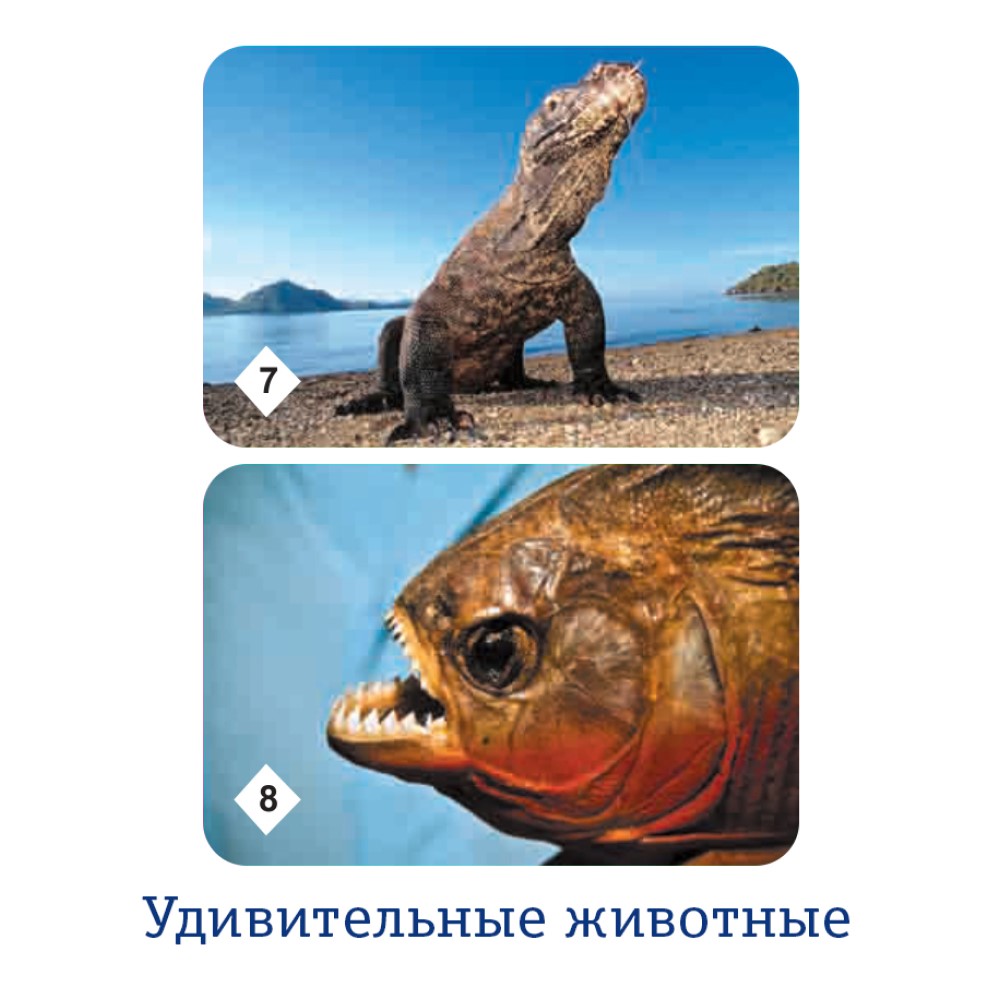 Настольная игра Нескучные игры Мемо - фото 7