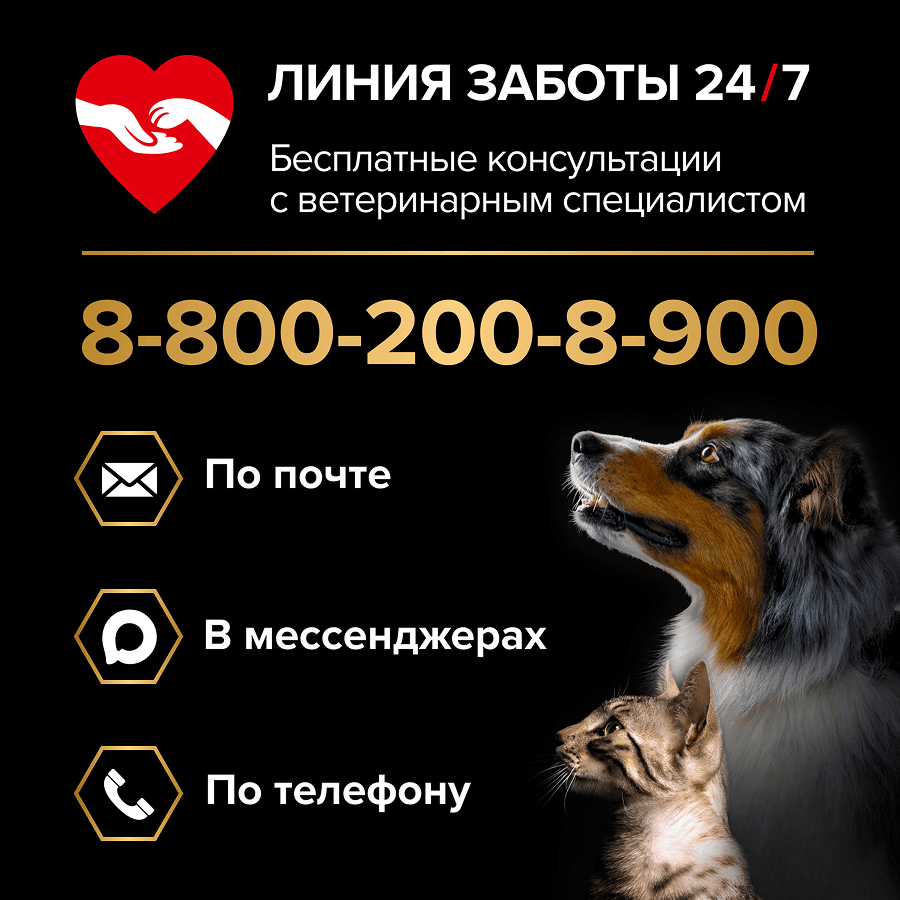 Корм для щенков сухой PRO PLAN Sensitive Skin для мелких пород с чувствительной кожей с лососем 3кг - фото 11