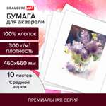 Художественная бумага Brauberg для акварели 10 лист.