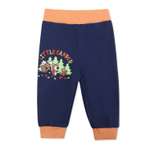 Брюки Мелонс