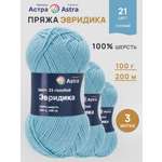 Пряжа для вязания Astra Premium Эвридика 100 г 200 м 3 шт