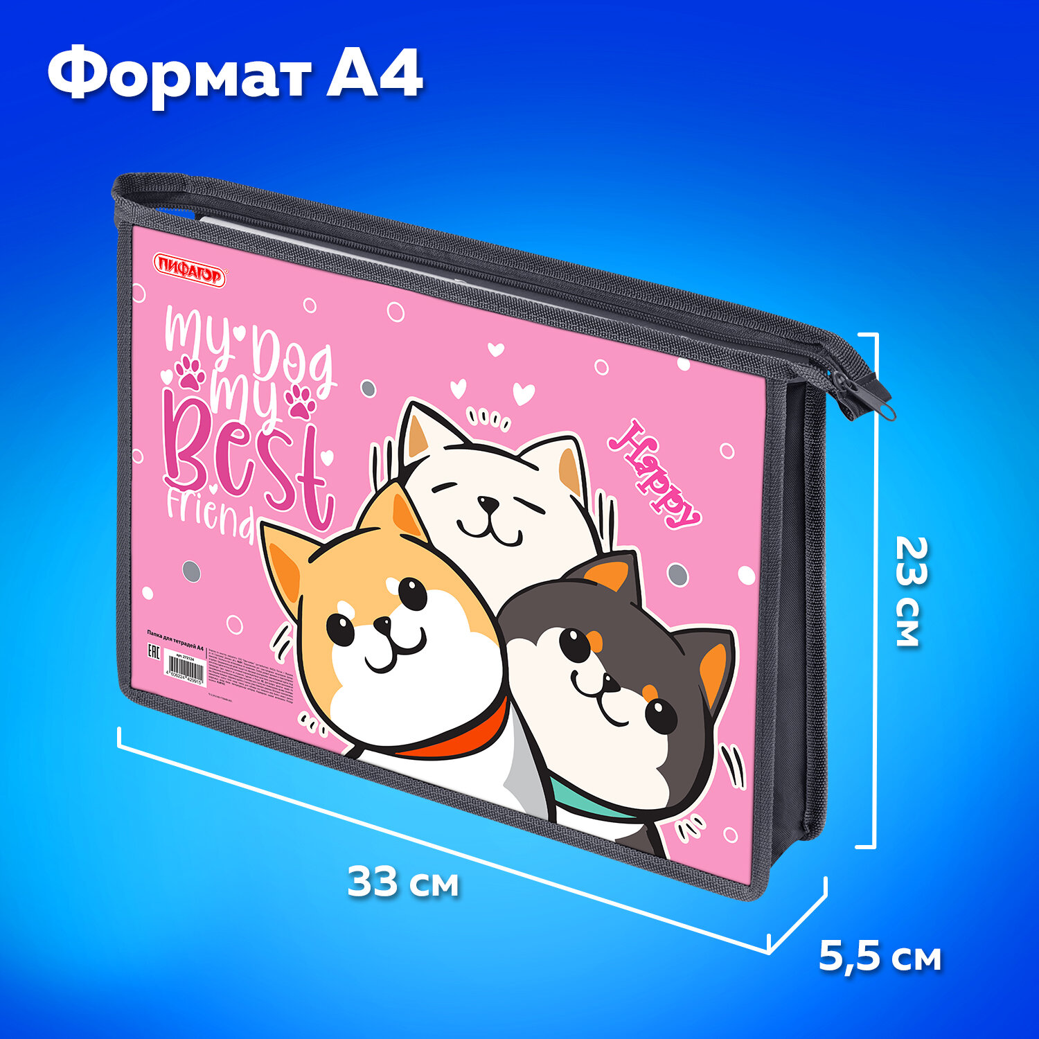 Папка для тетрадей Пифагор А4 - фото 4