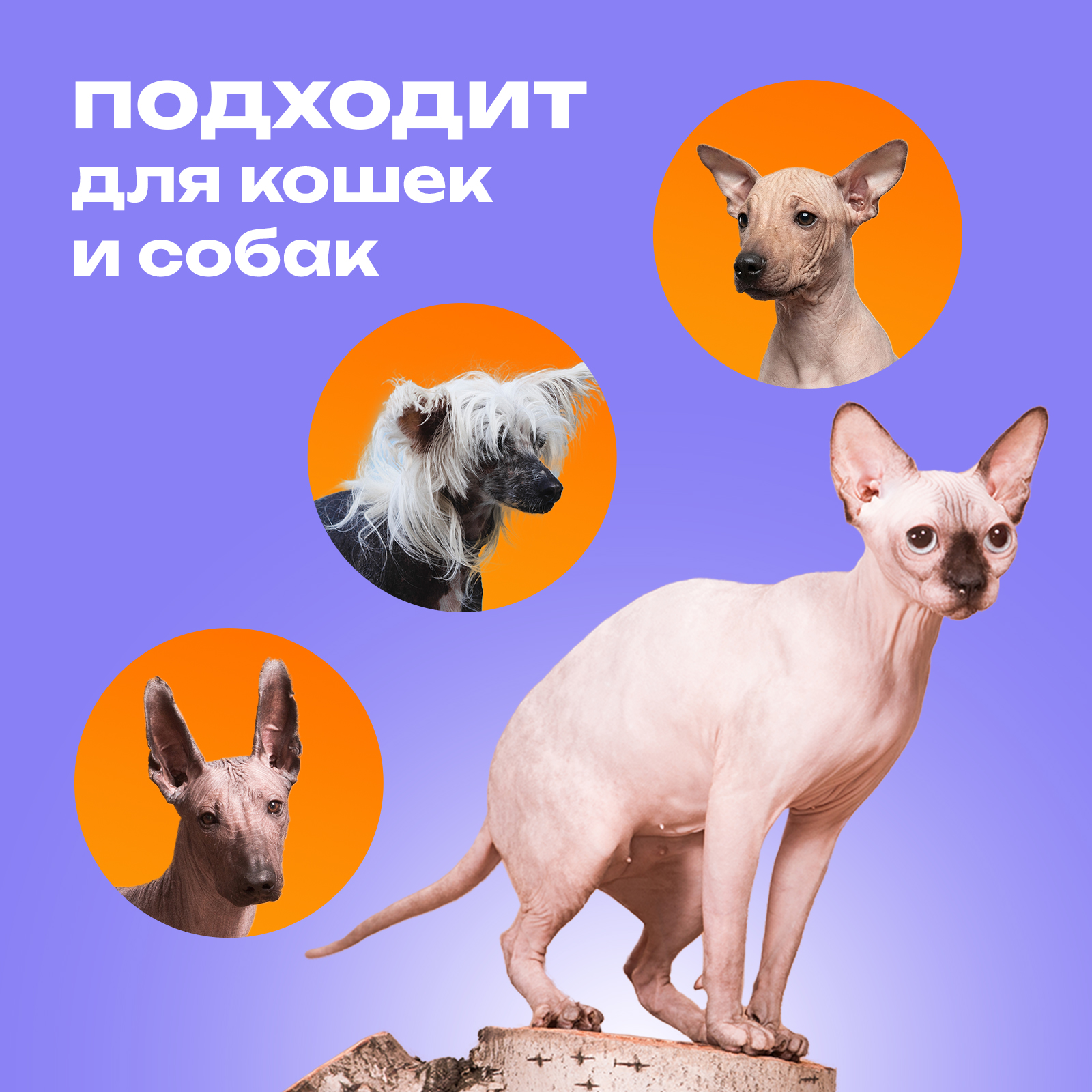 Шампунь PETPOWER для бесшерстных лысых пород кошек и собак 250 мл - фото 6