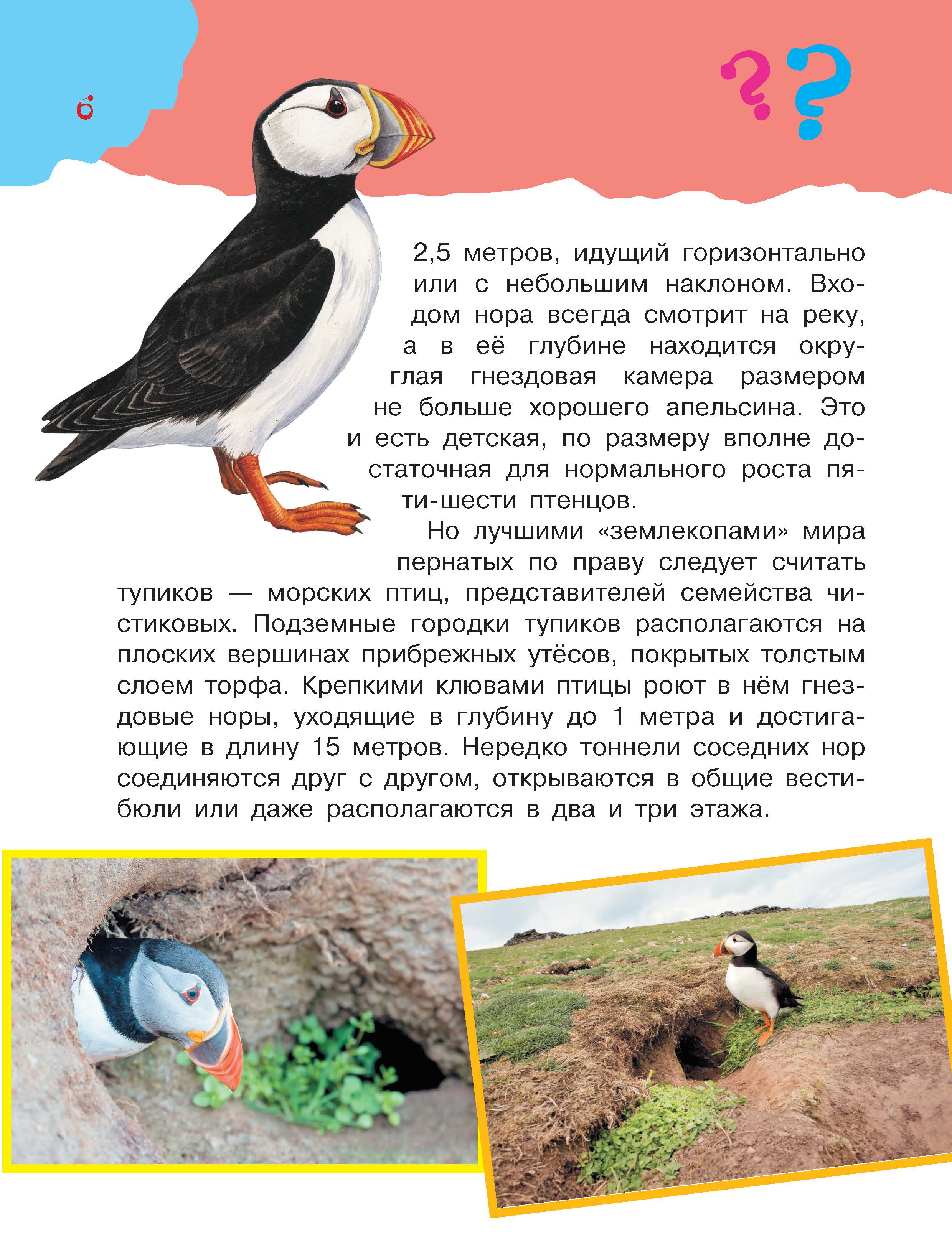 Энциклопедия АСТ Большая книга почемучки - фото 5