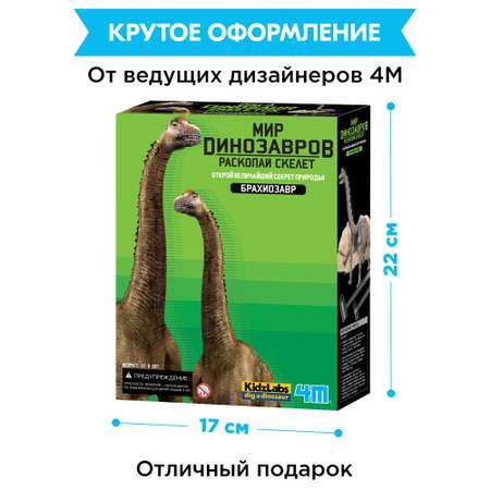 Набор для раскопок 4M