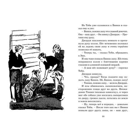 Книга МАХАОН Пропавший самолёт. Детский детектив. Знаменитая пятерка