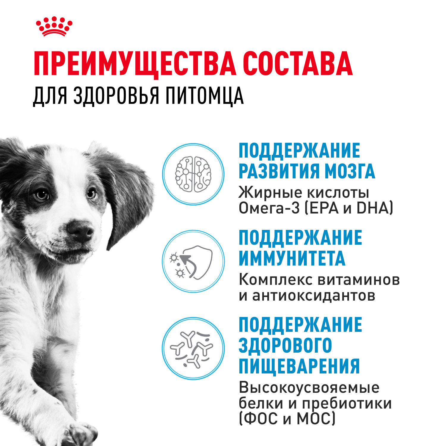 Корм для щенков ROYAL CANIN Medium Puppy средних пород 14кг - фото 3